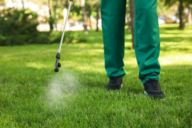 Best Pest Removal Services  in Justice, IL
