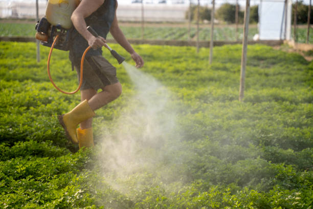 Best Commercial Pest Control Services  in Justice, IL