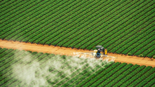 Best Best Pest Control Companies  in Justice, IL